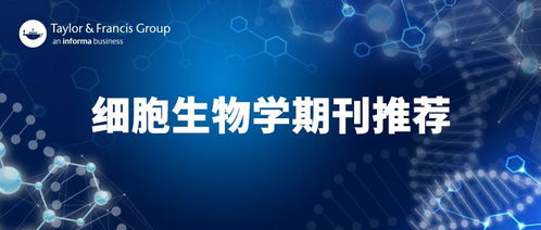 前沿探索 T细胞生物学领域三大期刊联合征稿开启学术新篇章